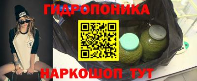 молекула духа Кандалакша